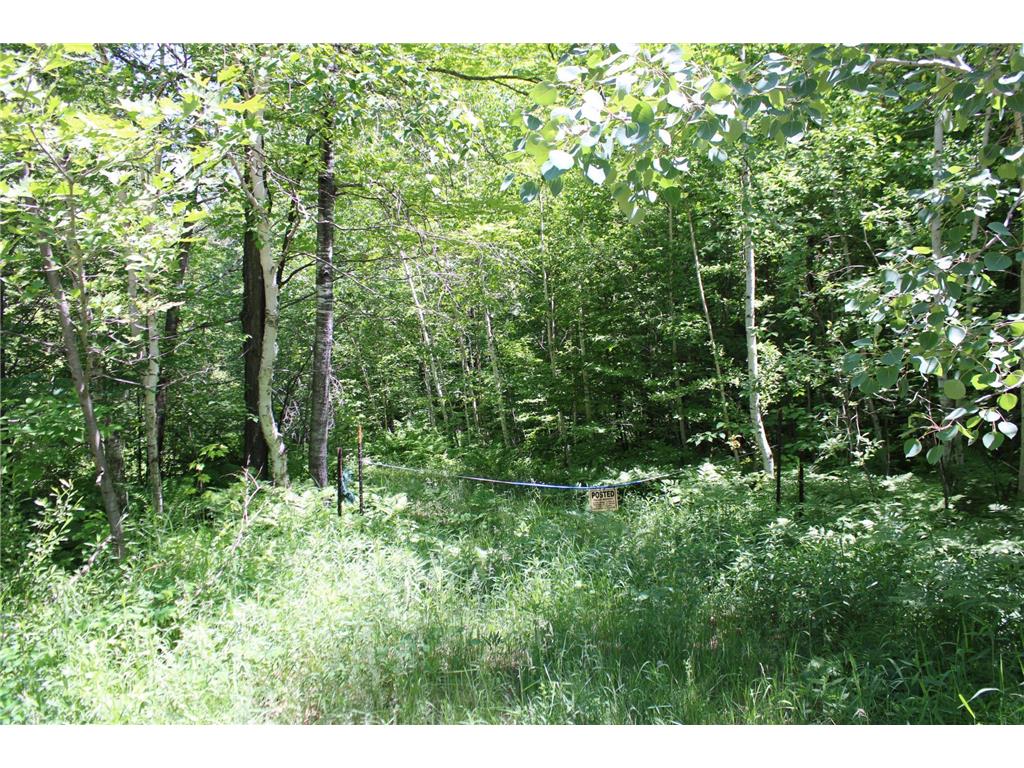 N4886 & N4862 Ben-Thom Road Beaver Brook Twp WI 54801 6384868 image1