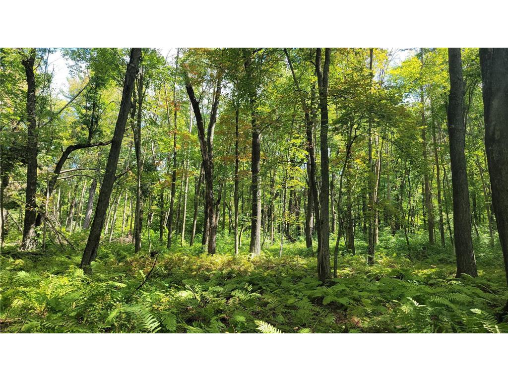 N5314 765th Street Elk Mound WI 54739 6784129 image30