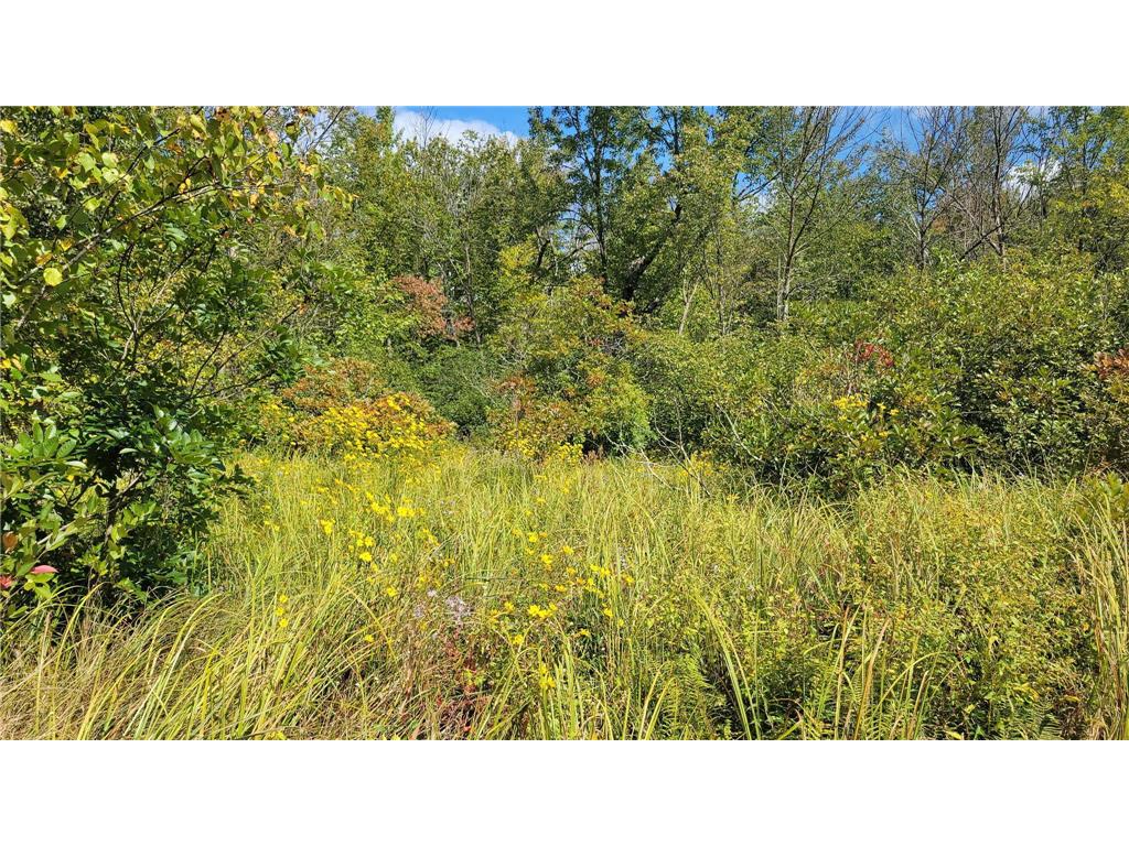 N5314 765th Street Elk Mound WI 54739 6784129 image31