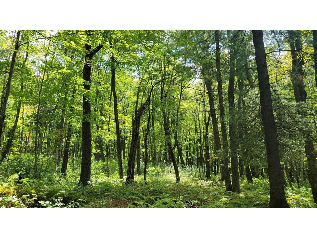 N5314 765th Street Elk Mound WI 54739 6784129 image32