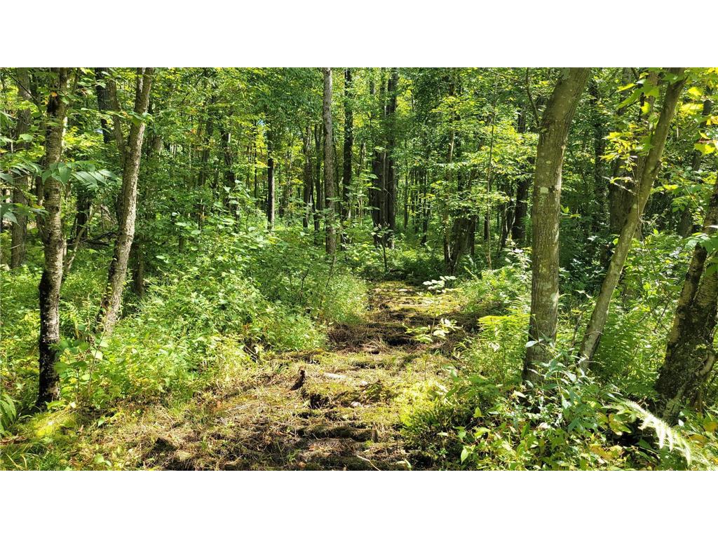 N5314 765th Street Elk Mound WI 54739 6784129 image33