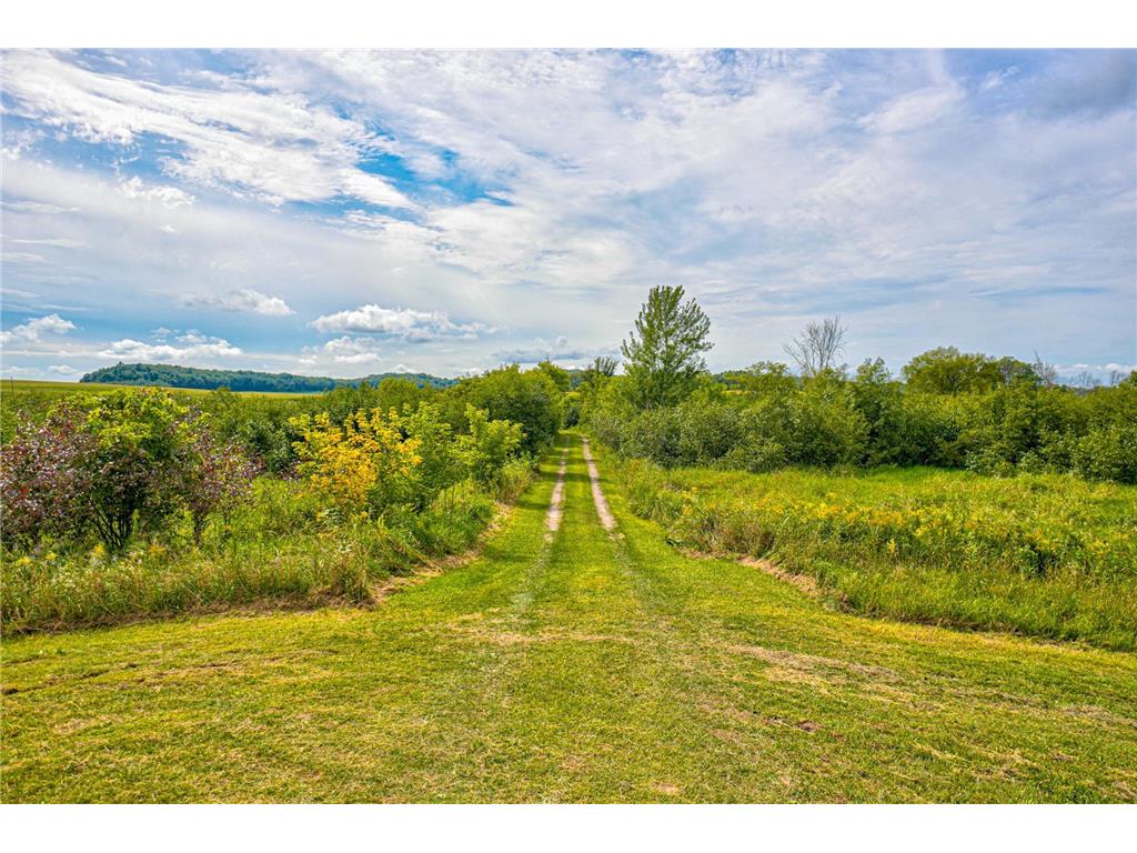 N5314 765th Street Elk Mound WI 54739 6784129 image6