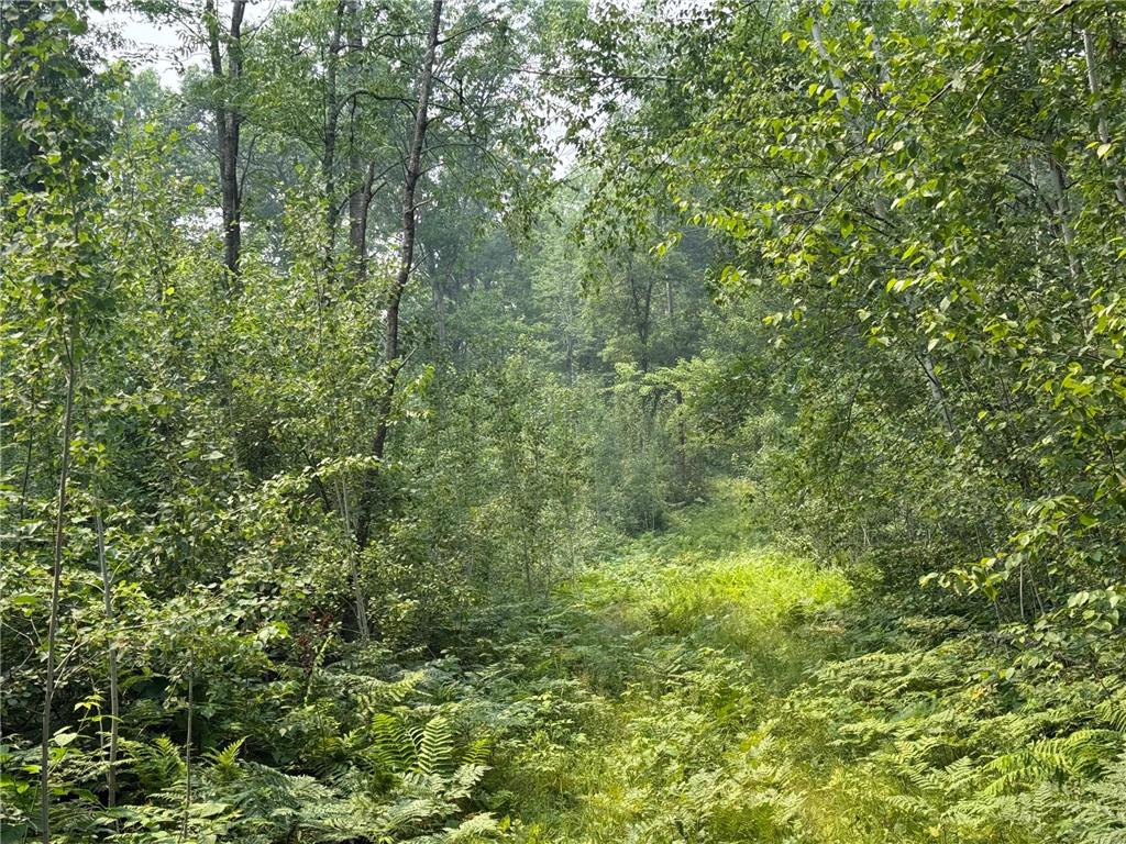 N5813 Mann Road Spooner WI 54801 - Spooner 7102444 image10