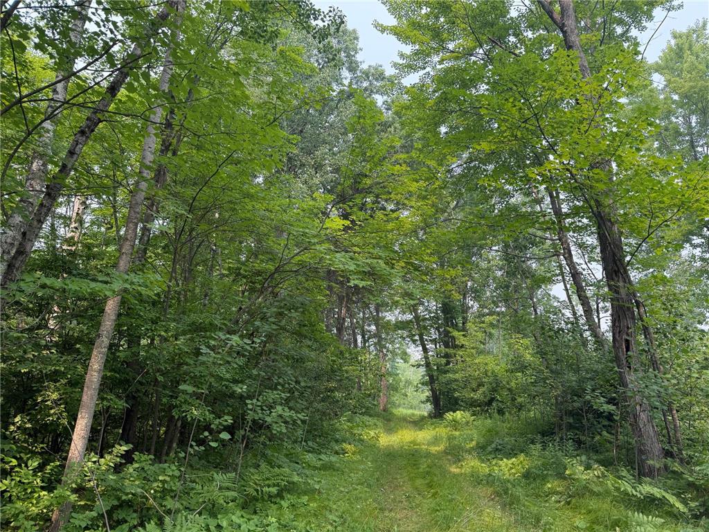 N5813 Mann Road Spooner WI 54801 - Spooner 7102444 image5
