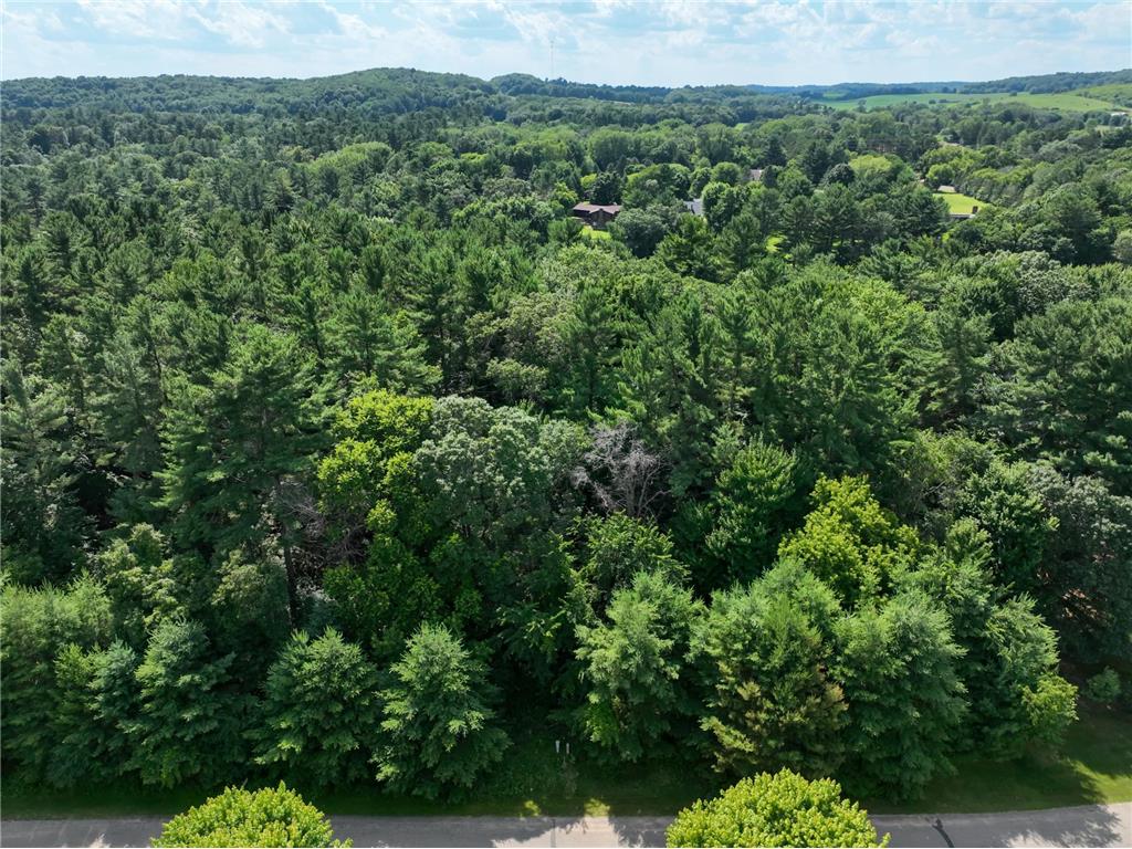 N6929 549th Street Menomonie WI 54751 - Red Cedar River 6695175 image13