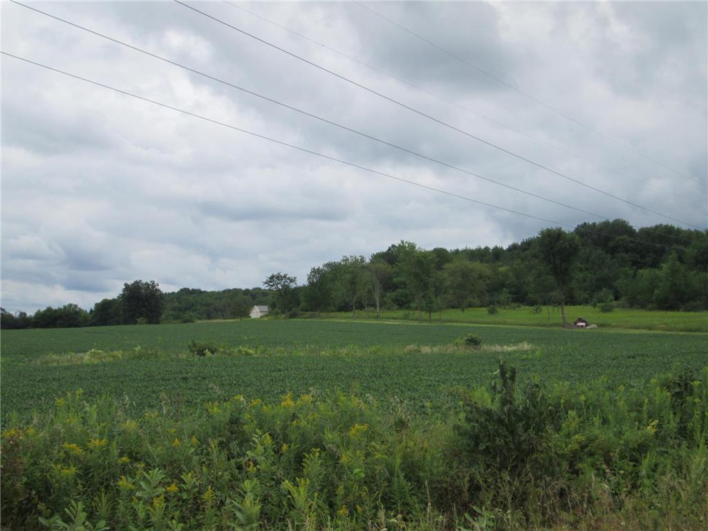 N7230 290th Street, Spring Valley, WI, 54767 MLS 7320297 Edina Realty