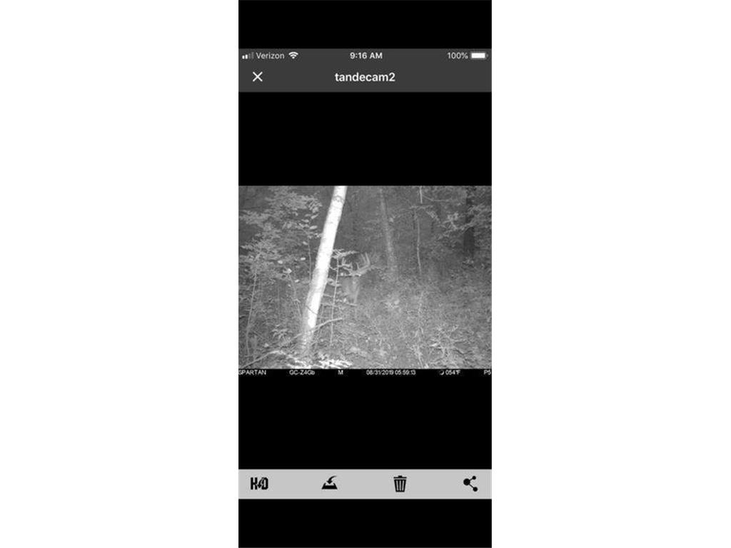 N7534 Skoy Coulee Road Farmington Twp WI 54644 7048846 image35