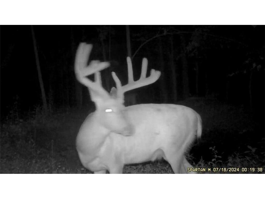 N7534 Skoy Coulee Road Farmington Twp WI 54644 7048846 image36