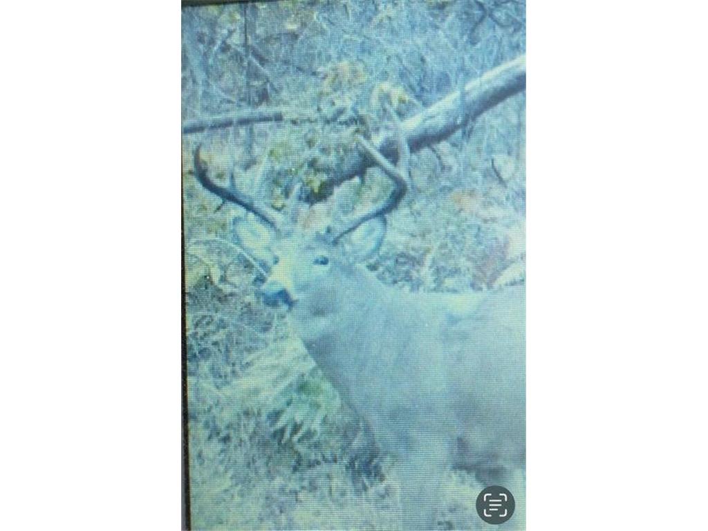 N7534 Skoy Coulee Road Farmington Twp WI 54644 7048846 image38
