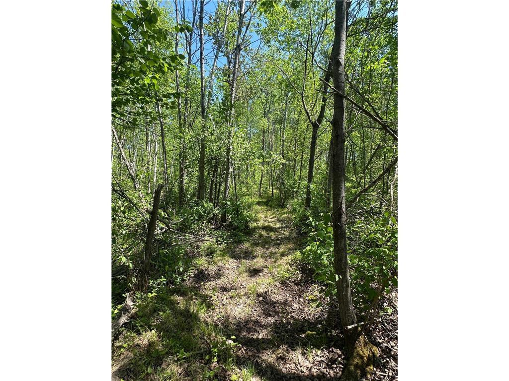 N7642 Crooked Road Big Falls Twp WI 54848 7082378 image27
