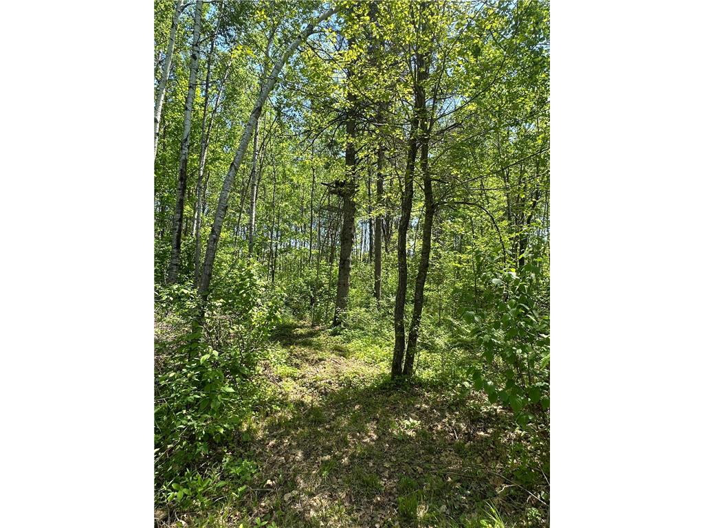 N7642 Crooked Road Big Falls Twp WI 54848 7082378 image29
