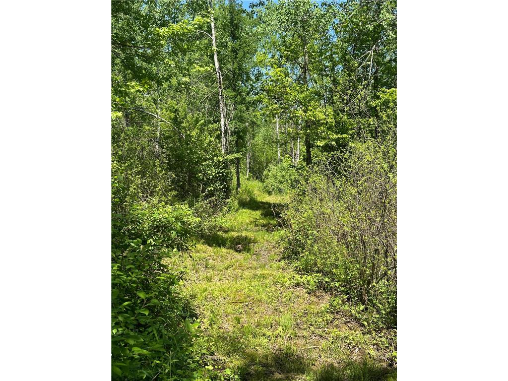 N7642 Crooked Road Big Falls Twp WI 54848 7082378 image30
