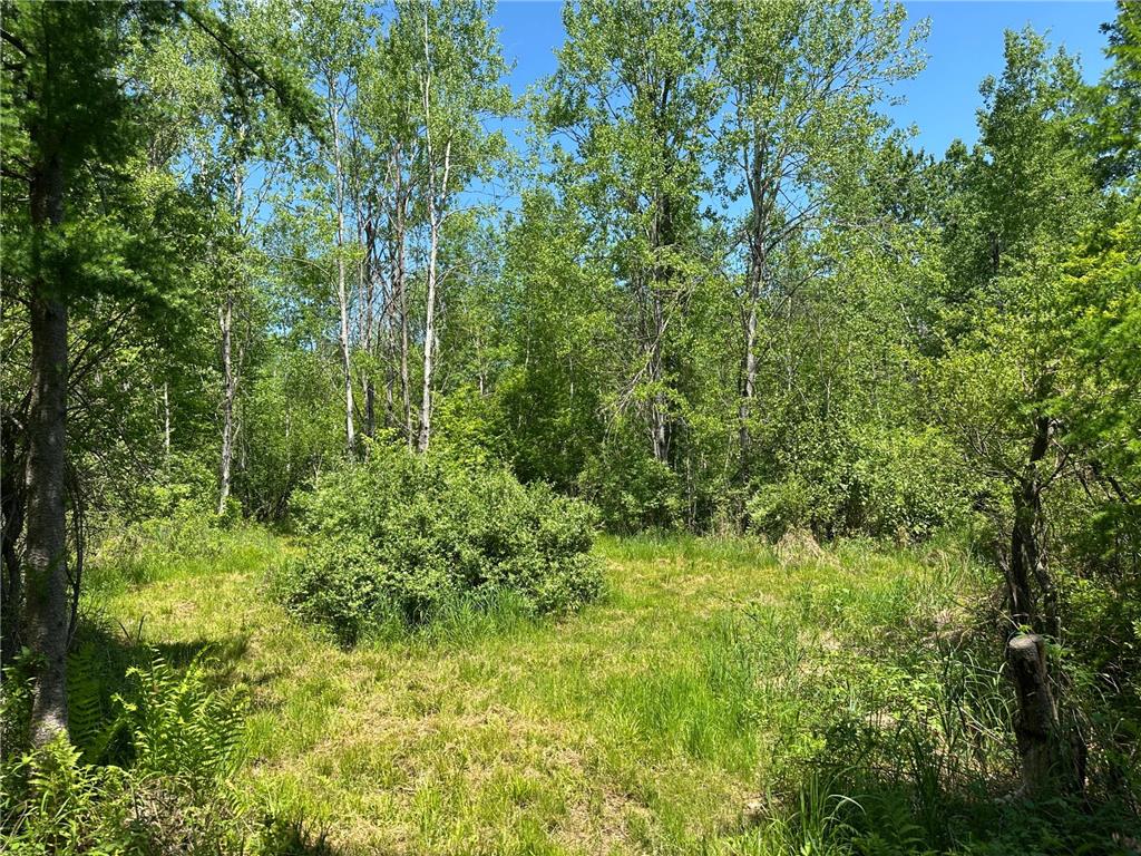 N7642 Crooked Road Big Falls Twp WI 54848 7082378 image31