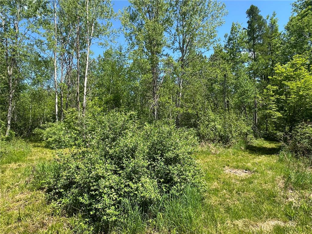 N7642 Crooked Road Big Falls Twp WI 54848 7082378 image32
