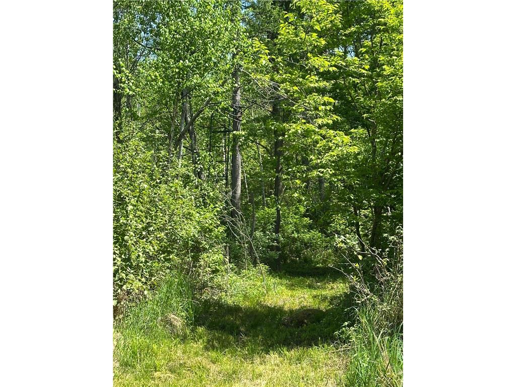 N7642 Crooked Road Big Falls Twp WI 54848 7082378 image33