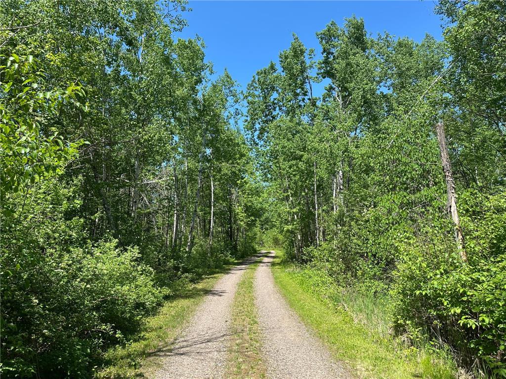 N7642 Crooked Road Big Falls Twp WI 54848 7082378 image6