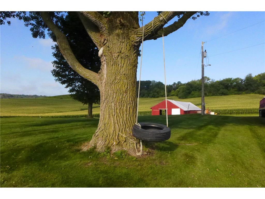 N769 230th Street Elmwood WI 54740 6763106 image18