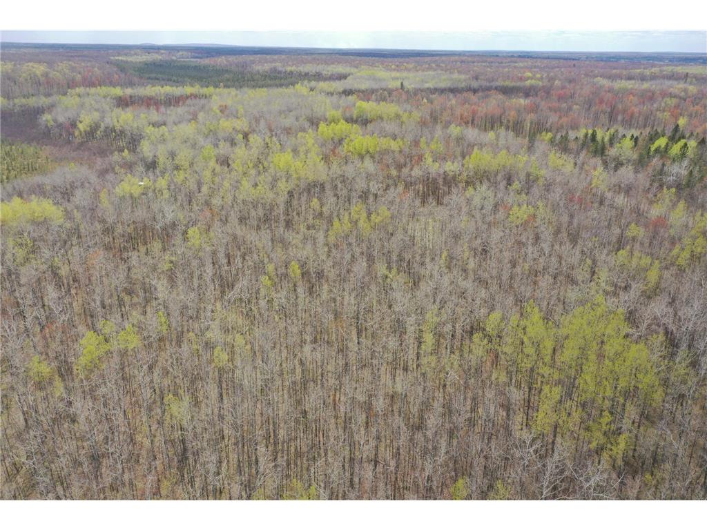 N8236 Godfrey Road Hubbard Twp WI 54848 7069443 image12