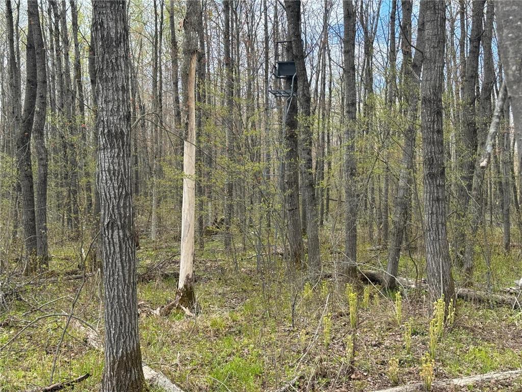 N8236 Godfrey Road Hubbard Twp WI 54848 7069443 image24