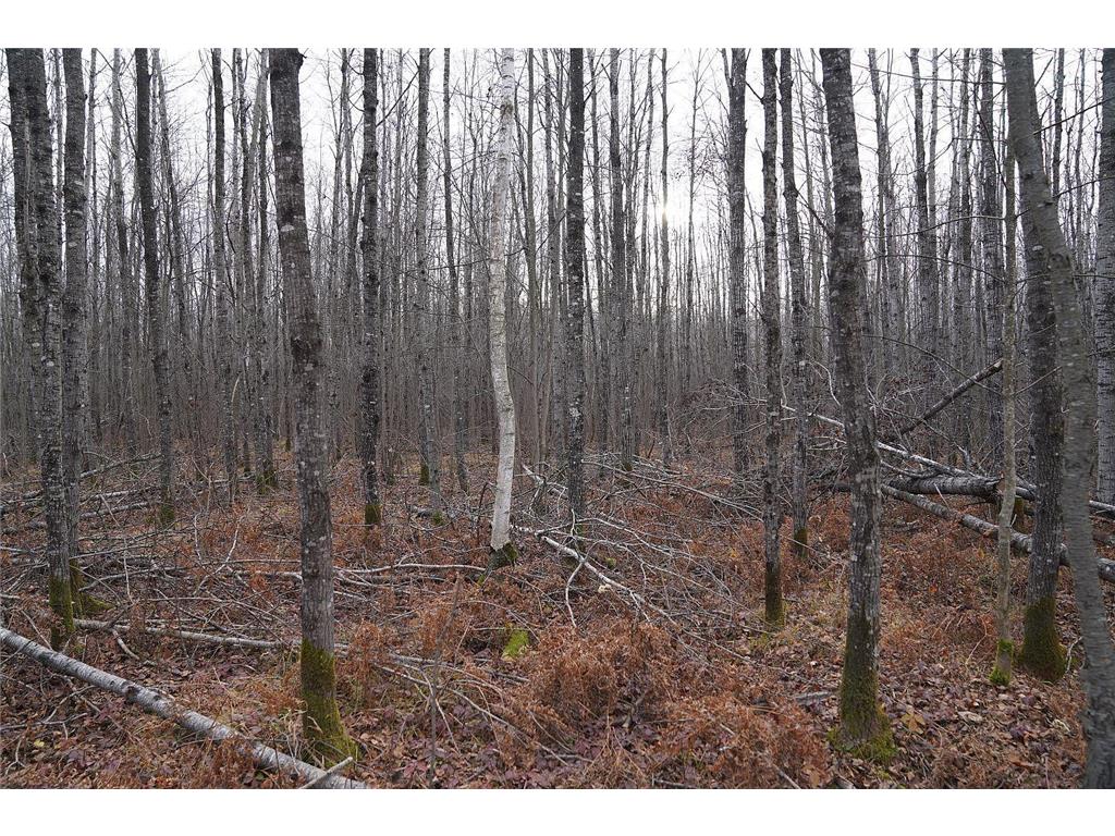 N8236 Godfrey Road Hubbard Twp WI 54848 7069443 image25