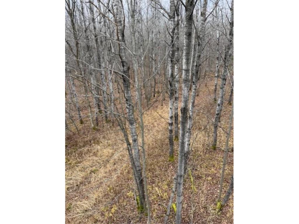 N8236 Godfrey Road Hubbard Twp WI 54848 7069443 image26