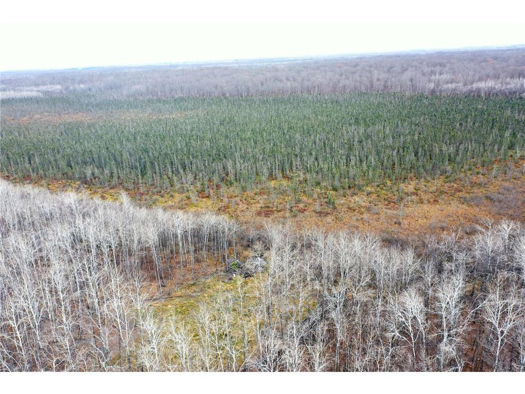 N8236 Godfrey Road Hubbard Twp WI 54848 7069443 image30