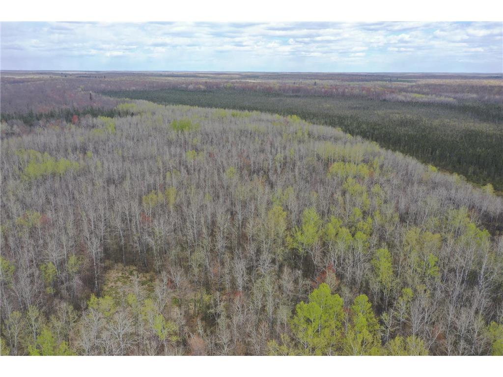 N8236 Godfrey Road Hubbard Twp WI 54848 7069443 image31