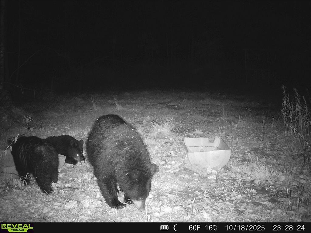 N8236 Godfrey Road Hubbard Twp WI 54848 7069443 image34