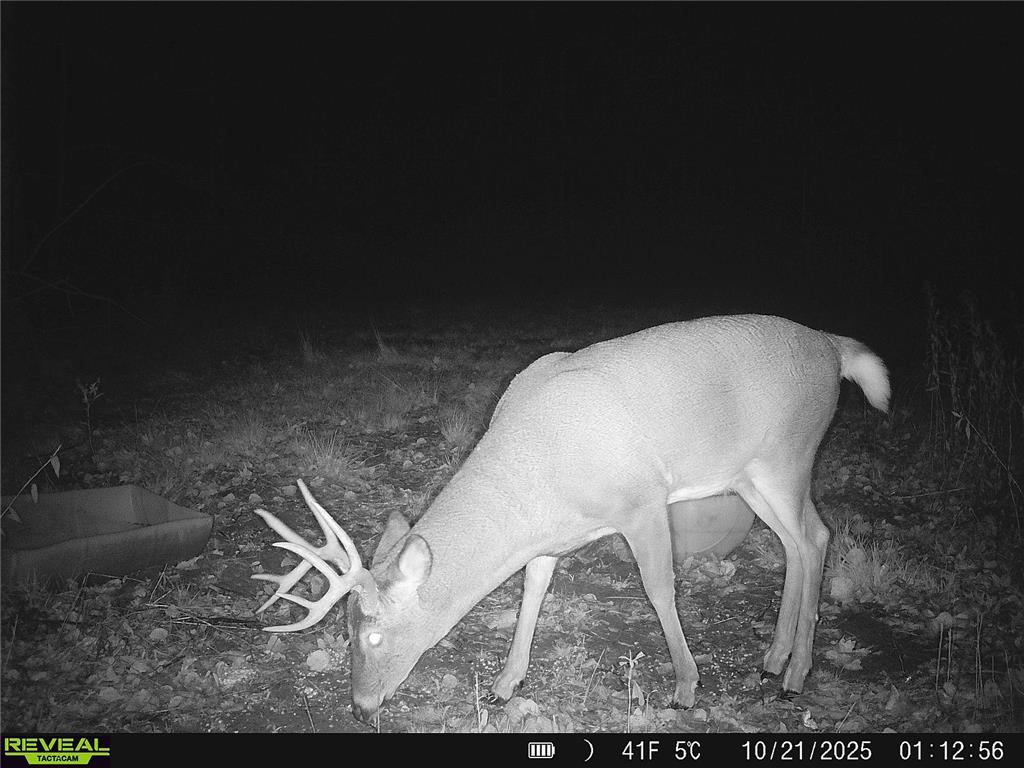 N8236 Godfrey Road Hubbard Twp WI 54848 7069443 image35