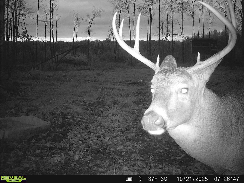 N8236 Godfrey Road Hubbard Twp WI 54848 7069443 image36