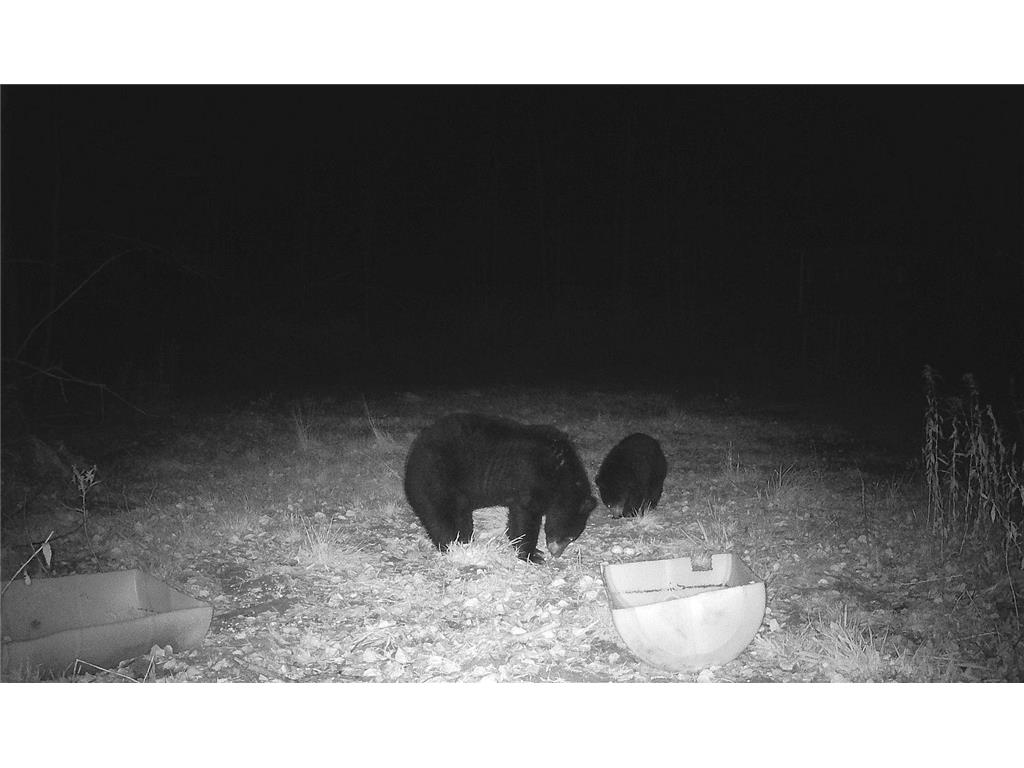 N8236 Godfrey Road Hubbard Twp WI 54848 7069443 image37
