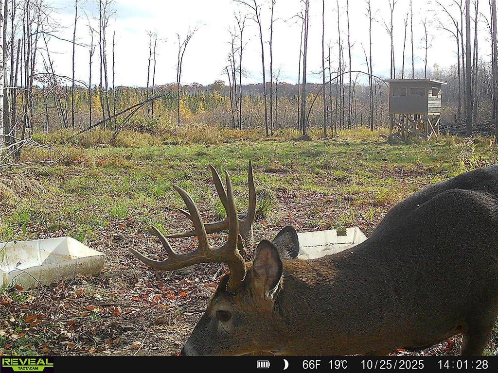 N8236 Godfrey Road Hubbard Twp WI 54848 7069443 image38