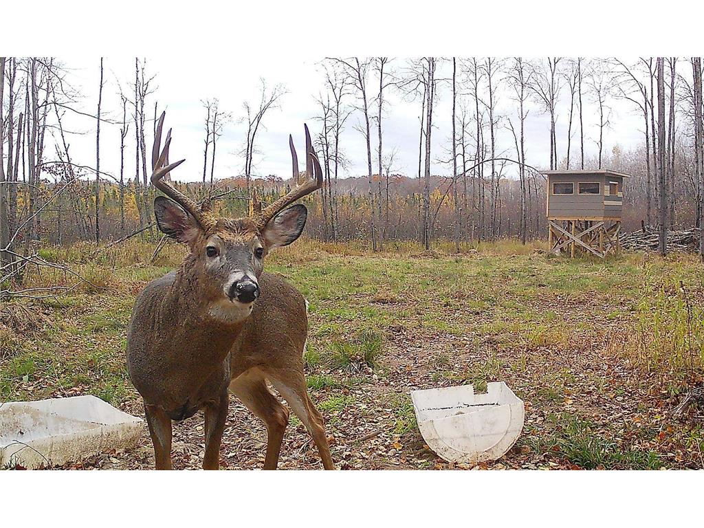 N8236 Godfrey Road Hubbard Twp WI 54848 7069443 image39