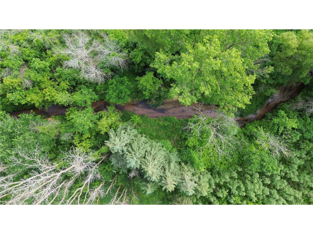 N8514 850th Street River Falls WI 54022 - Kinnickinnic River 7088668 image45