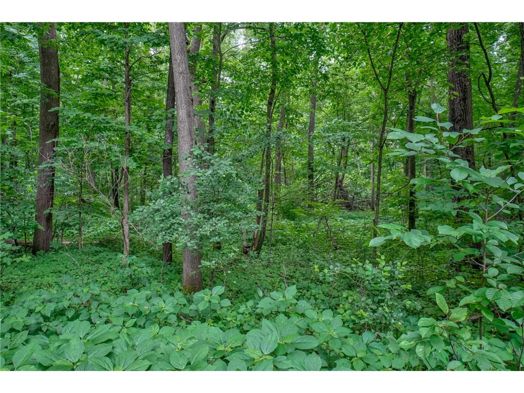 N8554 1205th Street Clifton Twp WI 54022 7092173 image39
