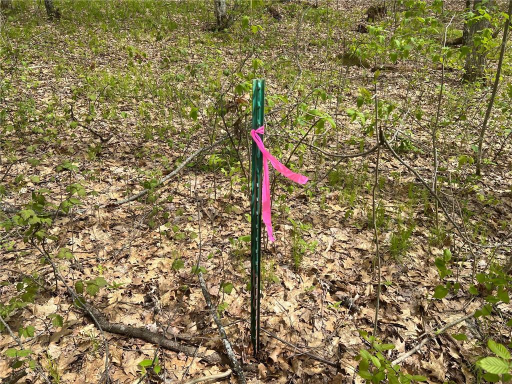 N8661 Sand Pit Road Trego Twp WI 54888 7075386 image16