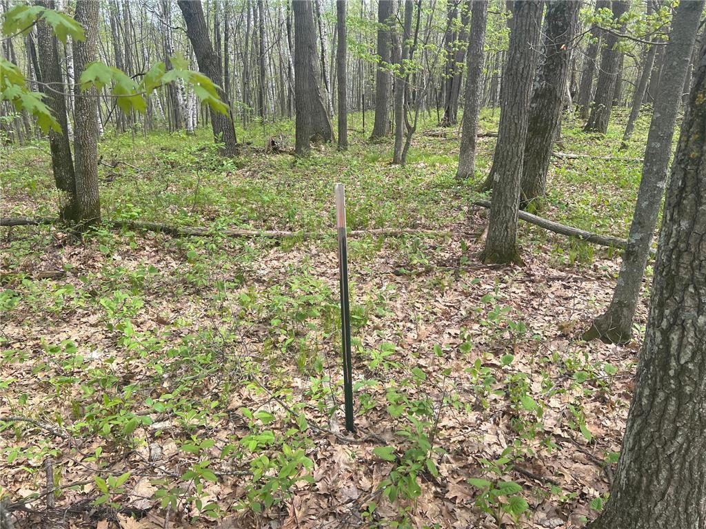 N8661 Sand Pit Road Trego Twp WI 54888 7075386 image17