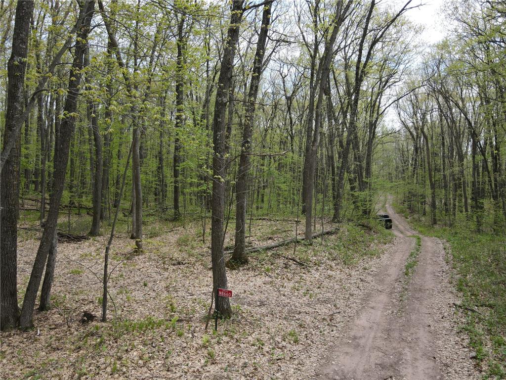 N8661 Sand Pit Road Trego Twp WI 54888 7075386 image2
