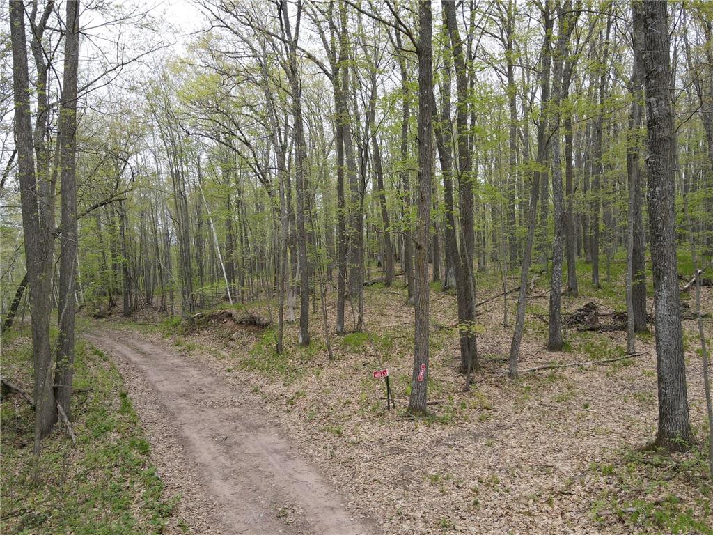 N8661 Sand Pit Road Trego Twp WI 54888 7075386 image3