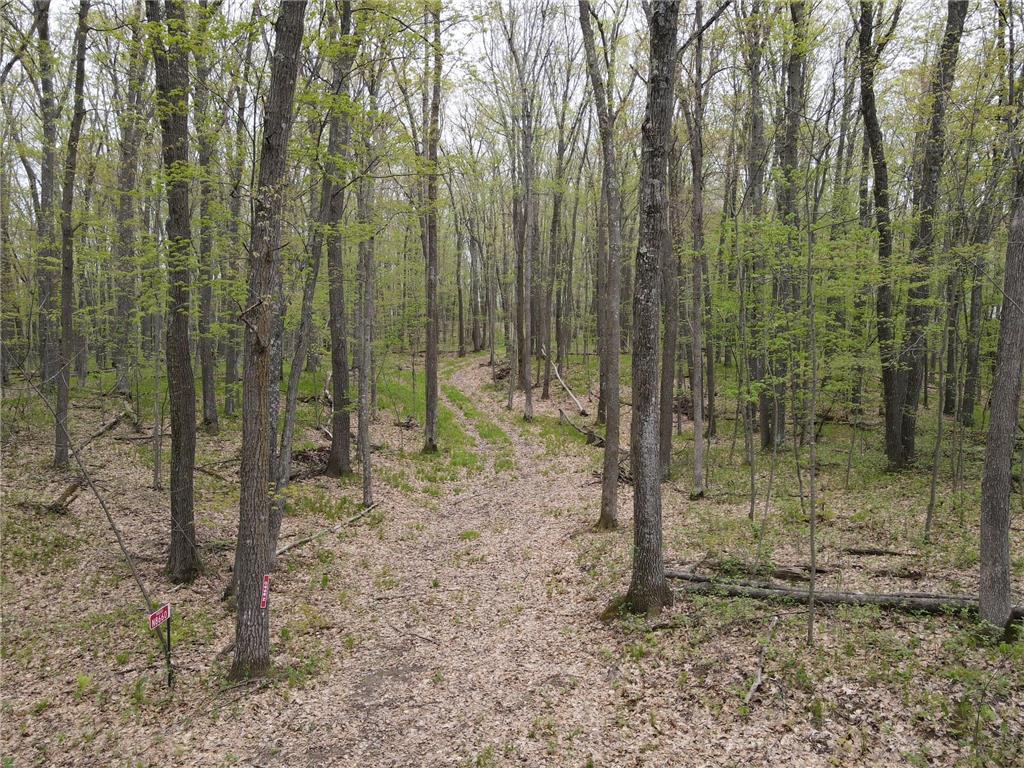 N8661 Sand Pit Road Trego Twp WI 54888 7075386 image5