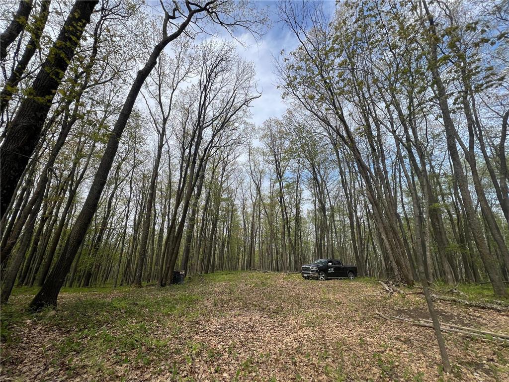 N8661 Sand Pit Road Trego Twp WI 54888 7075386 image6