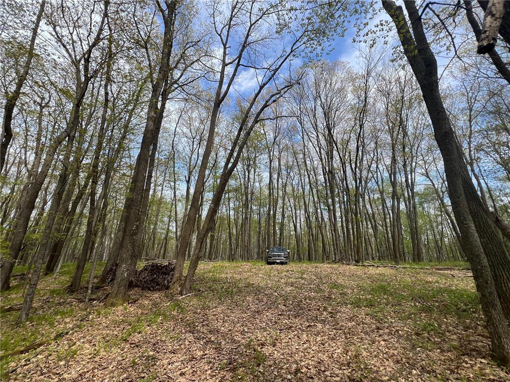 N8661 Sand Pit Road Trego Twp WI 54888 7075386 image7