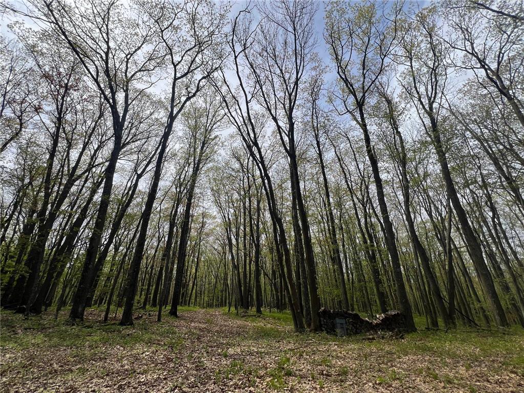 N8661 Sand Pit Road Trego Twp WI 54888 7075386 image9