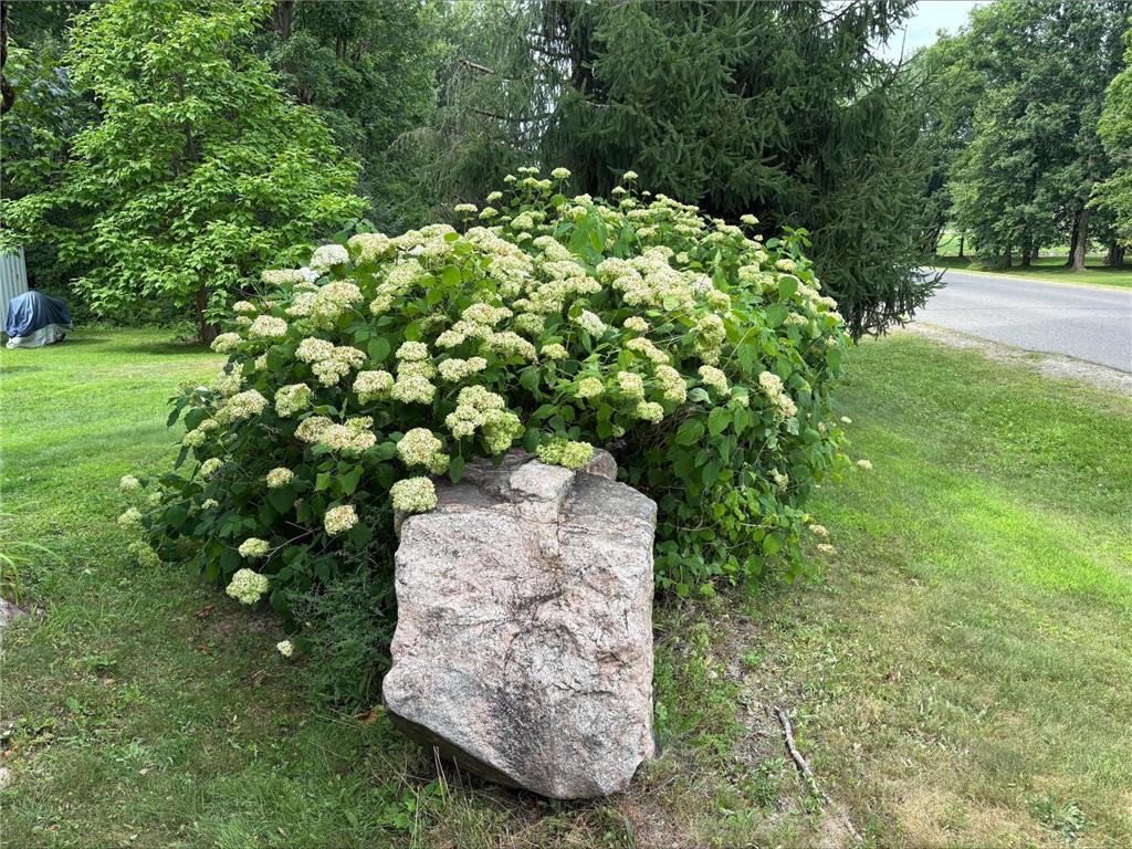 N8795 Bridge Drive Sheldon WI 54766 6770457 image5