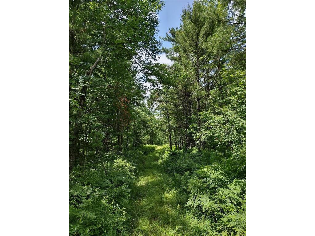 N8976 Flood Road, Black River Falls, WI 54615 MLS 6398886 Edina Realty