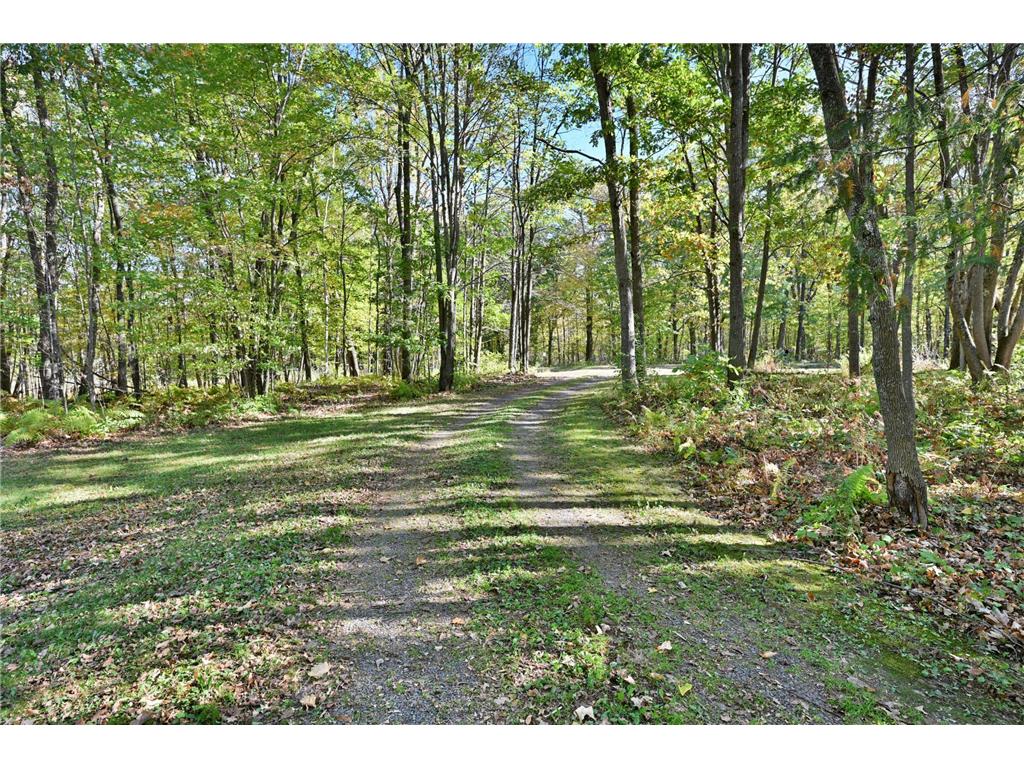 N9161 Shady Lane Brooklyn WI 54888 6817409 image41