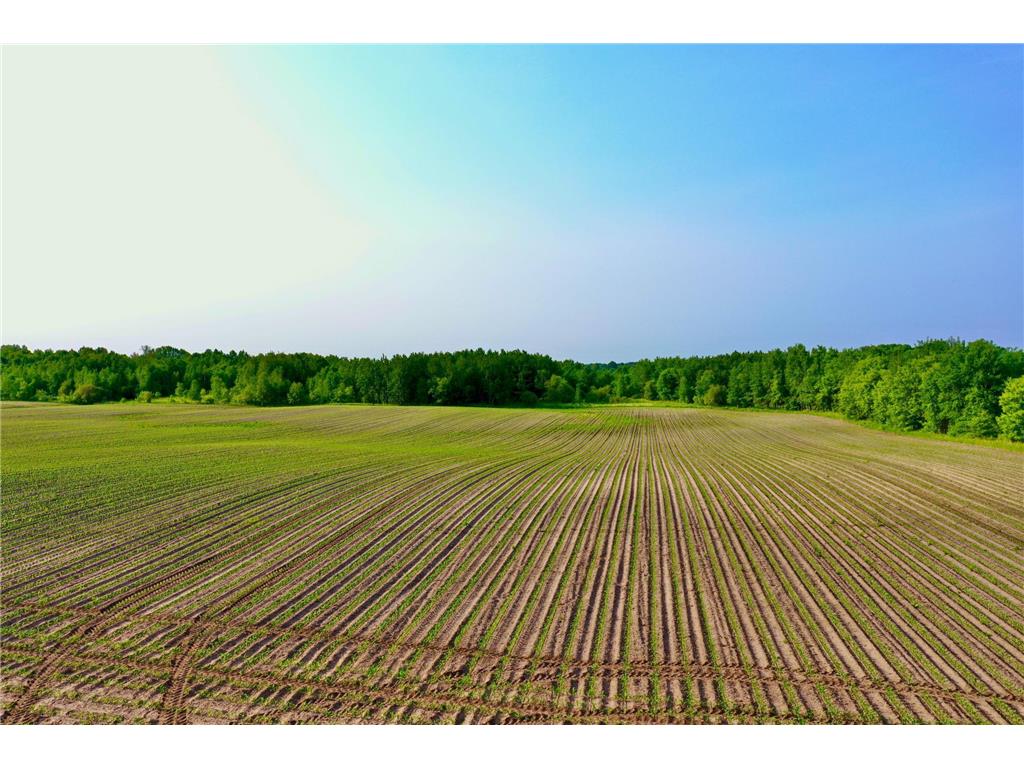NA 465th Street Sunrise Twp MN 55032 6730558 image1