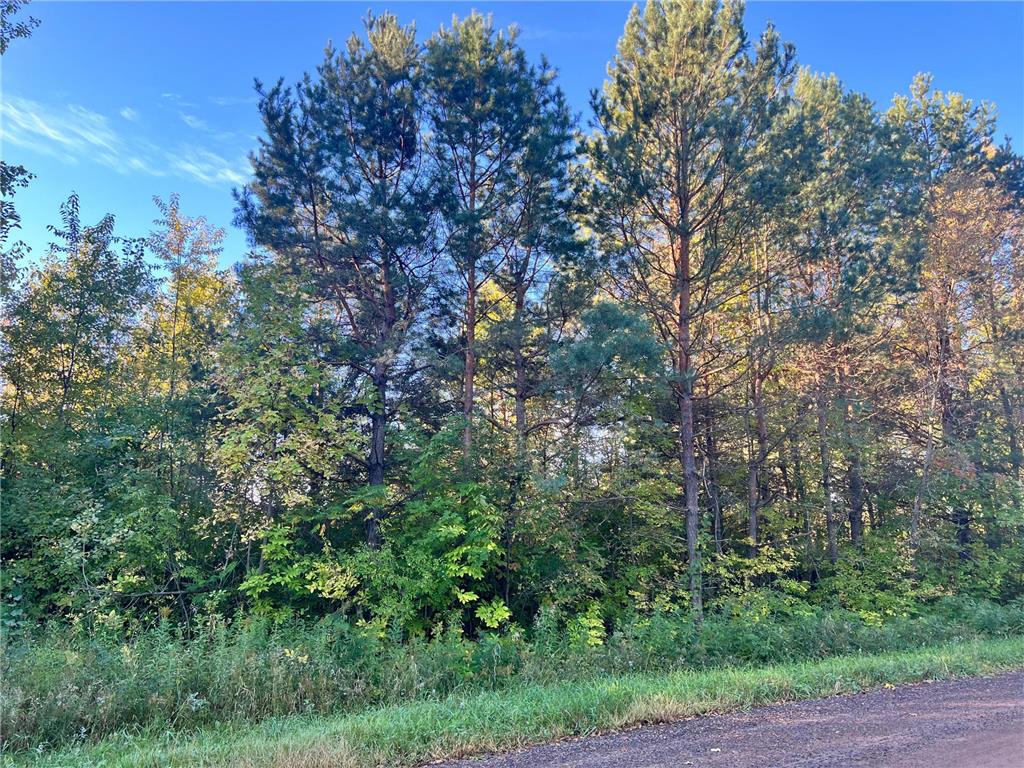 NA Andee Avenue, Fish Lake Twp, MN, 55032 MLS 6266427 Edina Realty