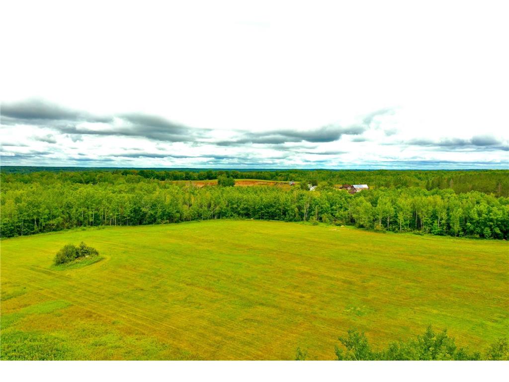 NA Balsam Fir Bremen Twp MN 55795 6404800 image1