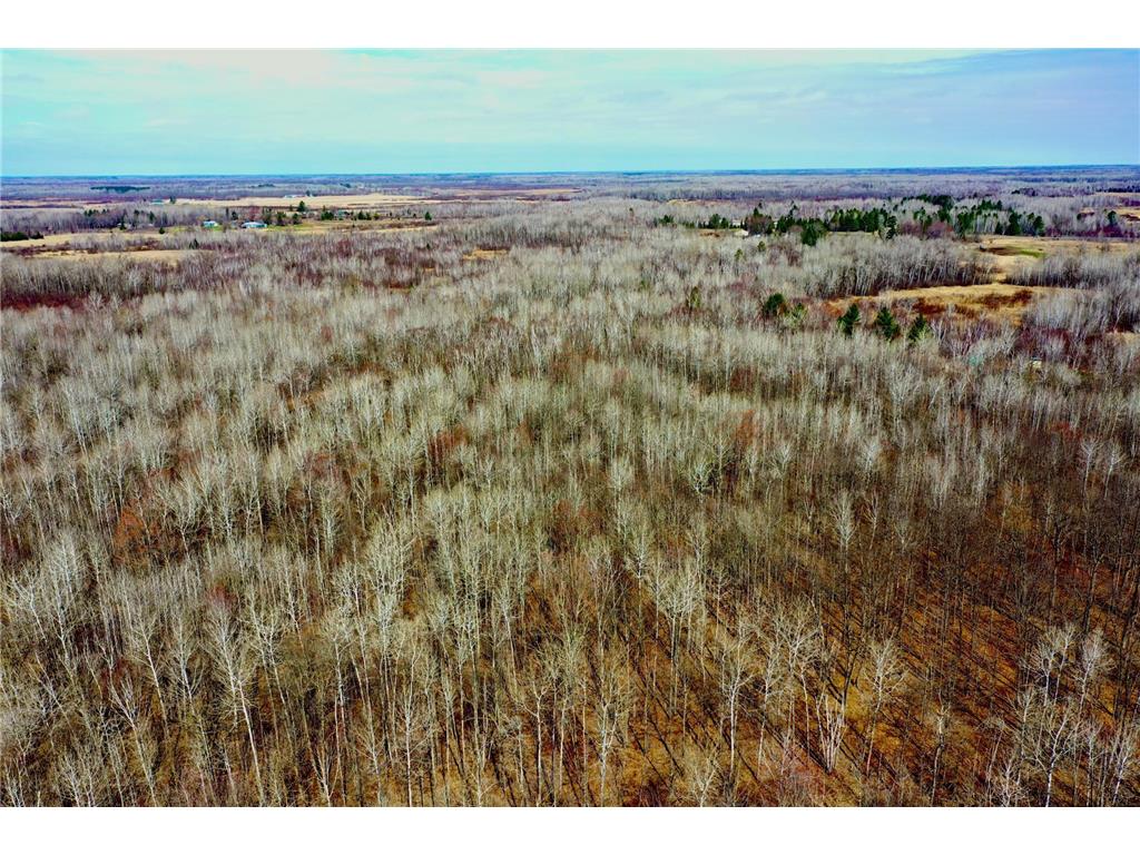 NA Beaver Claw Rd Brook Park MN 55007 7056623 image1